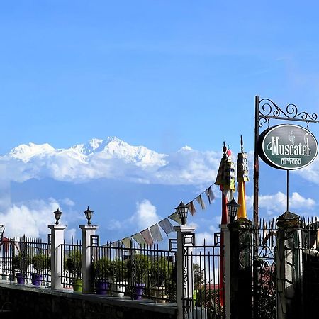 Muscatel Nirvana - At The Mall Road Darjeeling (West Bengal) Exterior foto